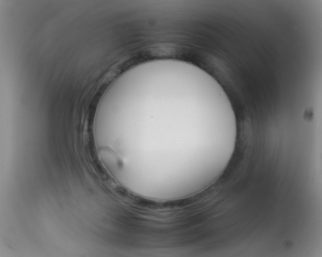 X0000113930267200909250923