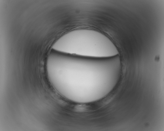 X0000113930269200909250923