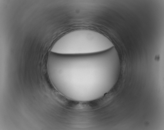 X0000113930270200909250923