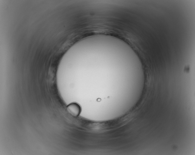 X0000113930273200909250923