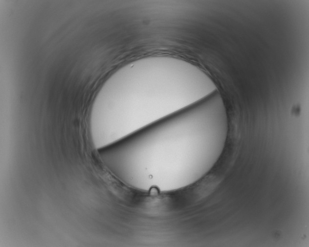 X0000113930274200909250923