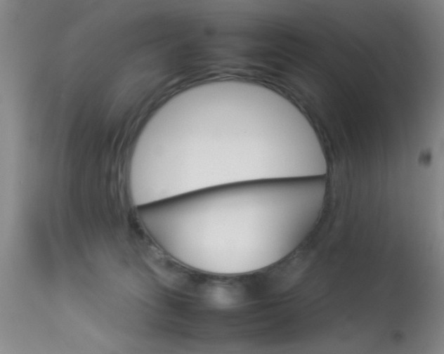 X0000113930275200909250923