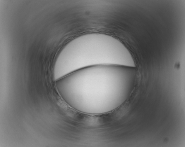 X0000113930276200909250923