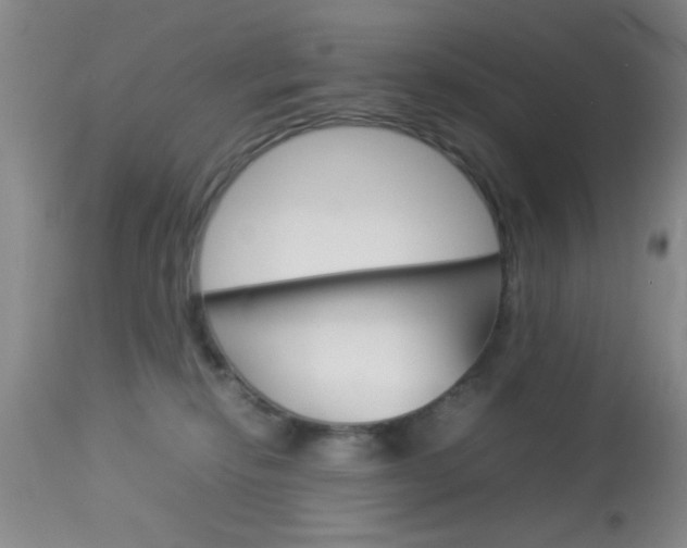 X0000113930278200909250923