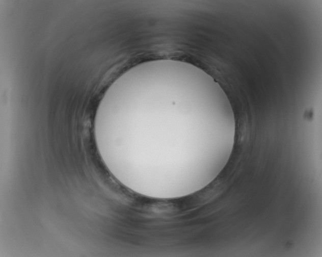 X0000113930279200909250923
