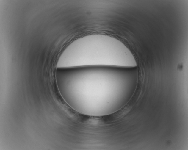 X0000113930280200909250923