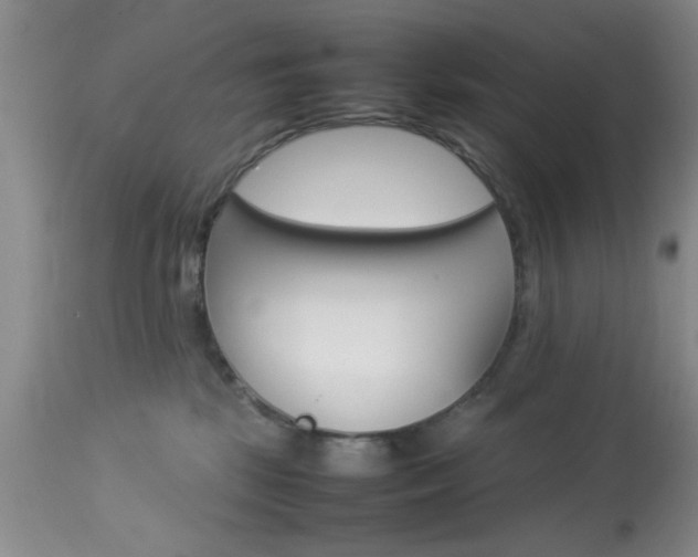 X0000113930281200909250923