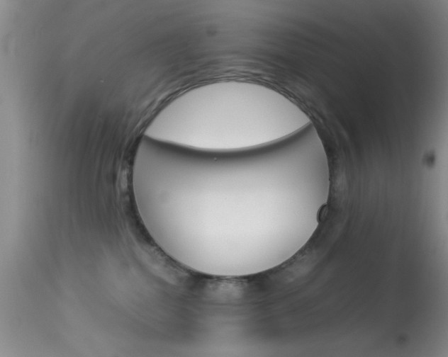 X0000113930282200909250923