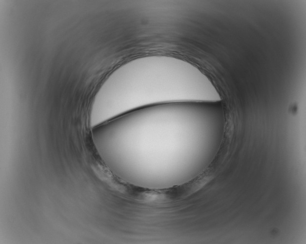 X0000113930284200909250923