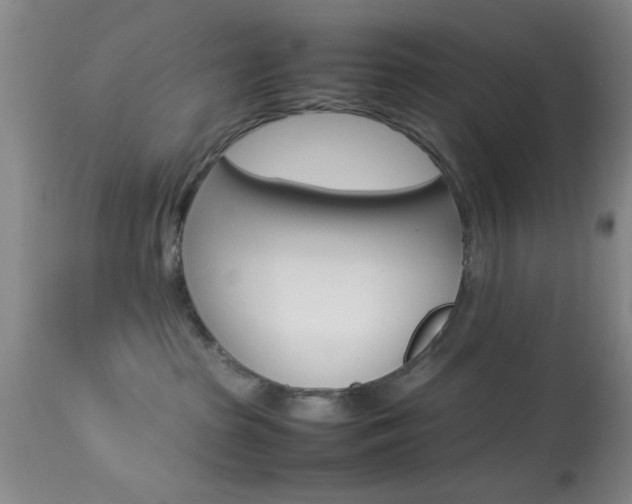 X0000113930285200909250923