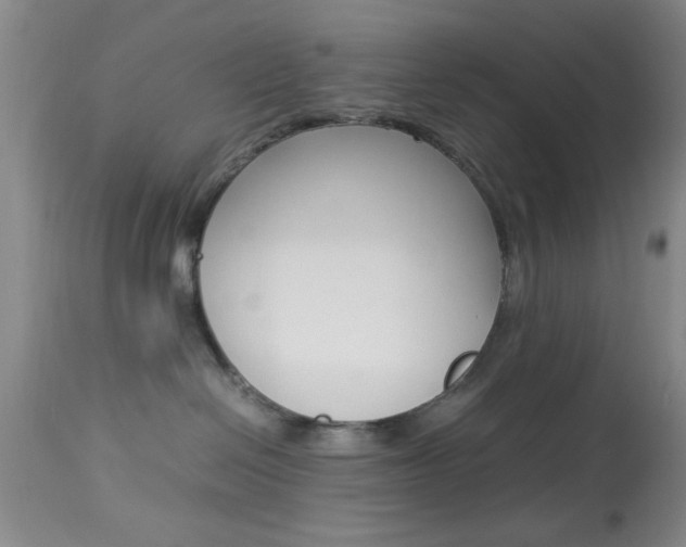X0000113930286200909250923