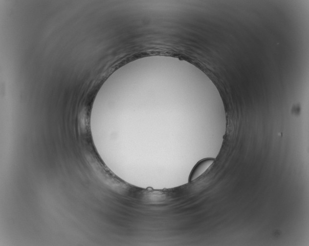 X0000113930287200909250923