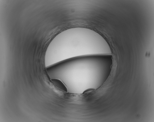 X0000113930288200909250923