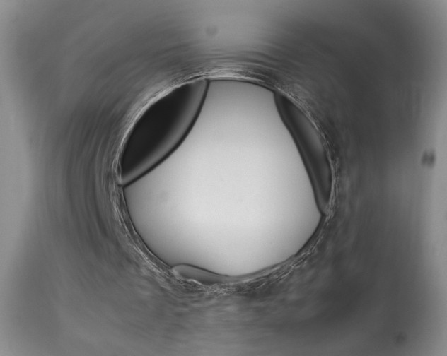 X0000113930289200909250922