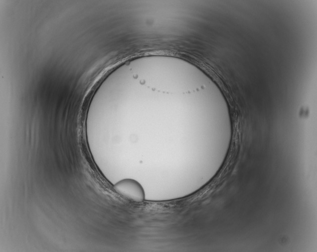 X0000113930290200909250922