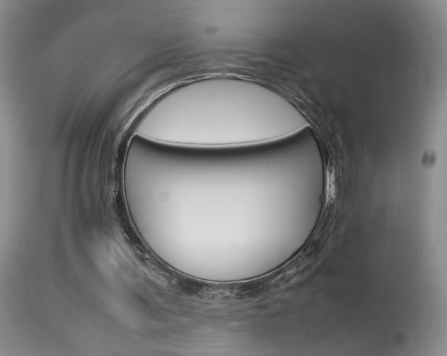X0000113930291200909250922