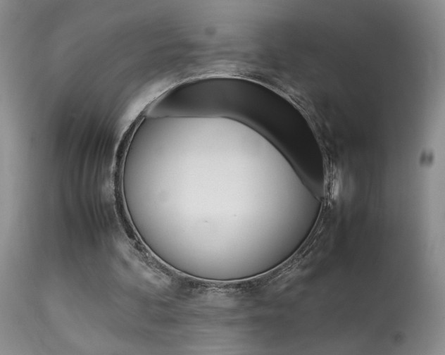 X0000113930292200909250922