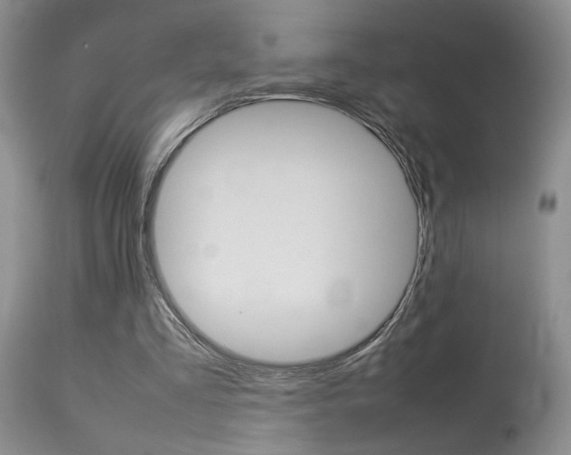 X0000113930293200909250922