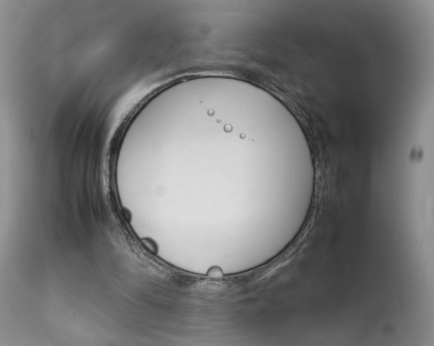 X0000113930294200909250922