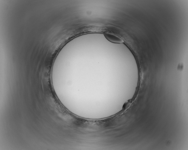 X0000113930297200909250922