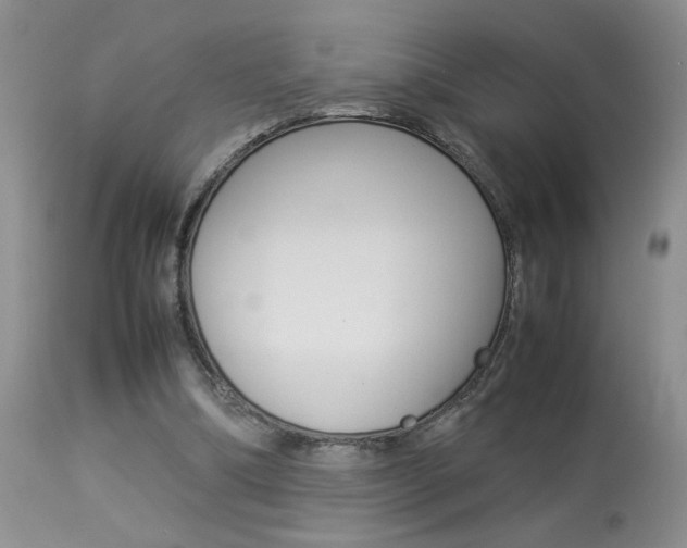 X0000113930298200909250922