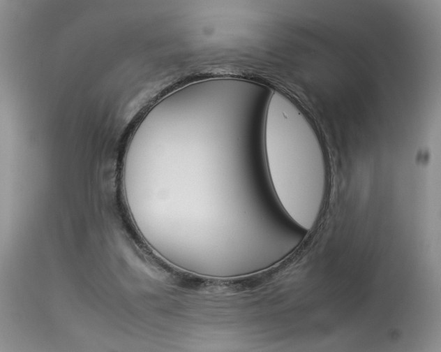 X0000113930299200909250922