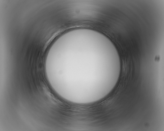 X0000113930300200909250922