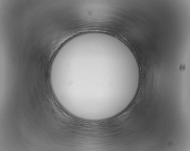 X0000113930301200909250922