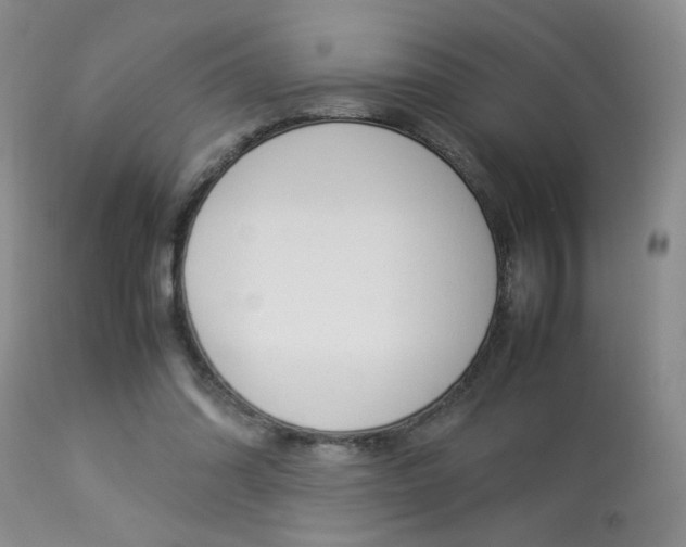 X0000113930302200909250922