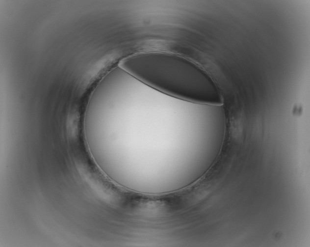 X0000113930304200909250922