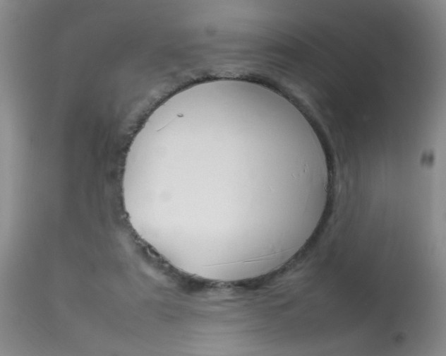 X0000113930307200909250922