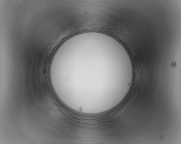 X0000113930308200909250922