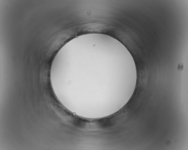 X0000113930309200909250922