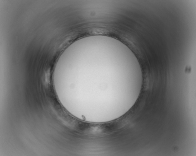 X0000113930310200909250922
