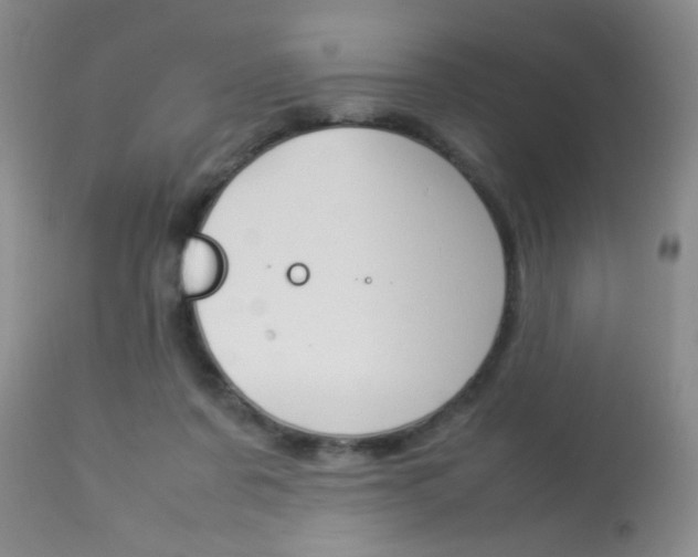 X0000113930311200909250922
