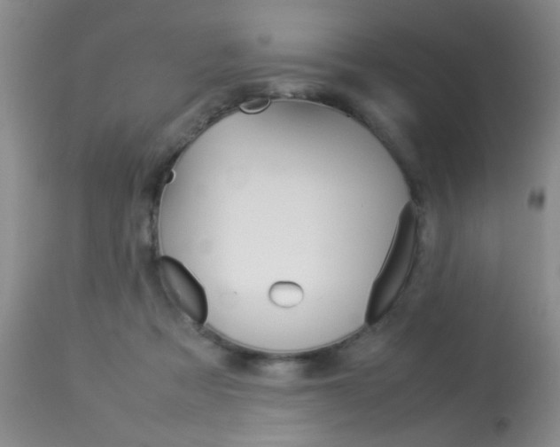 X0000113930313200909250922