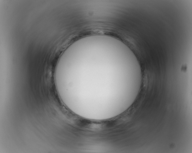 X0000113930314200909250922