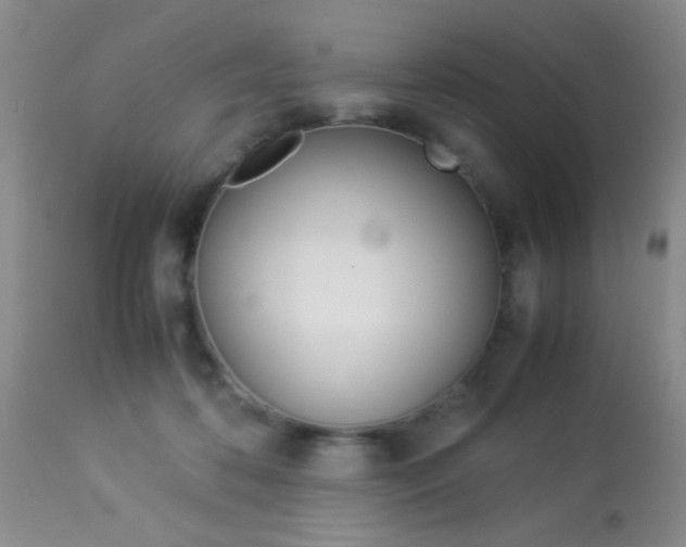 X0000113930316200909250922