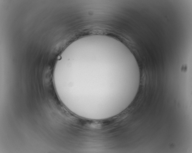 X0000113930318200909250922