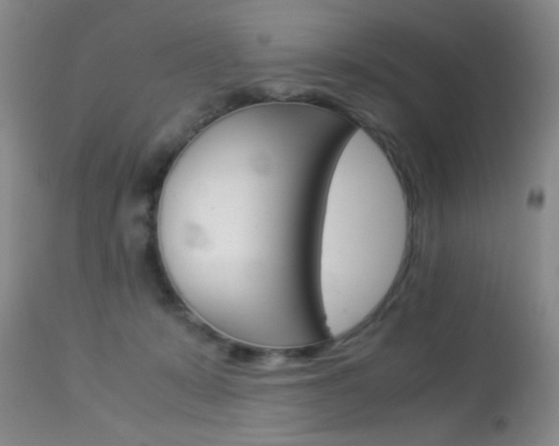X0000113930319200909250922