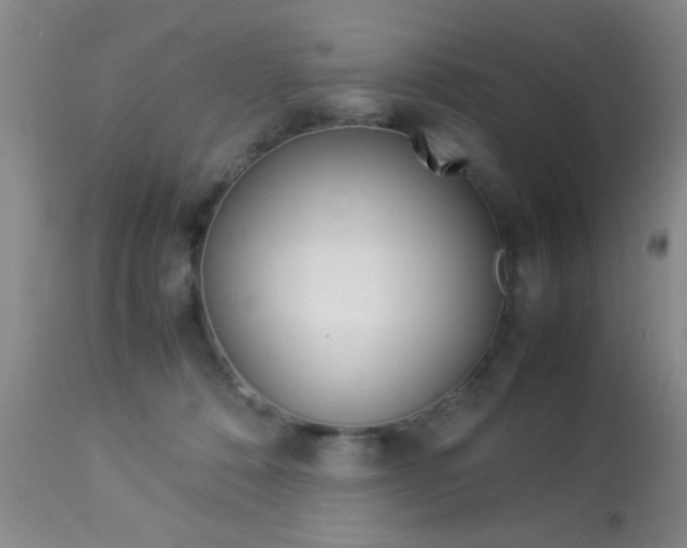 X0000113930320200909250922