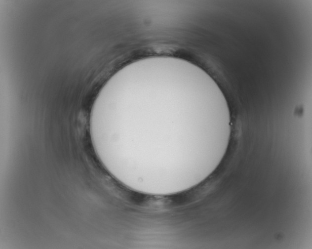 X0000113930321200909250922