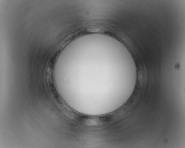 X0000113930322200909250922