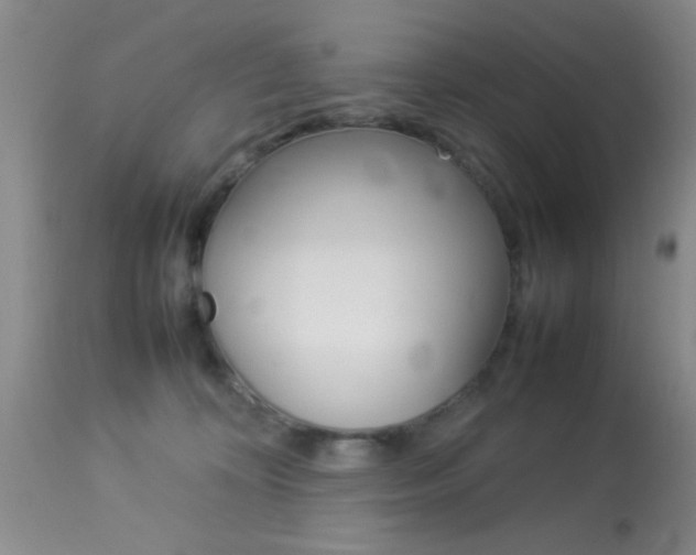 X0000113930324200909250922