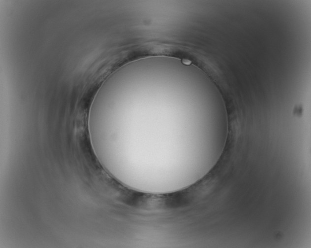 X0000113930325200909250922