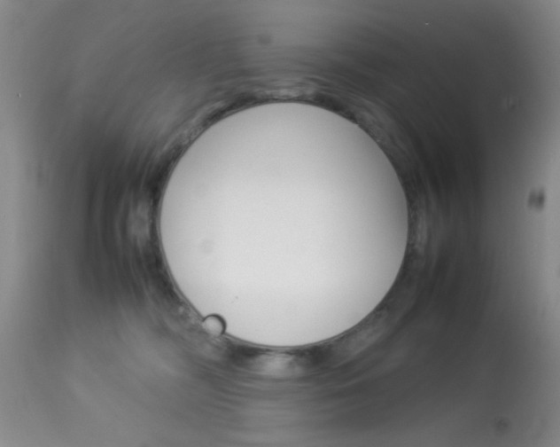 X0000113930326200909250922