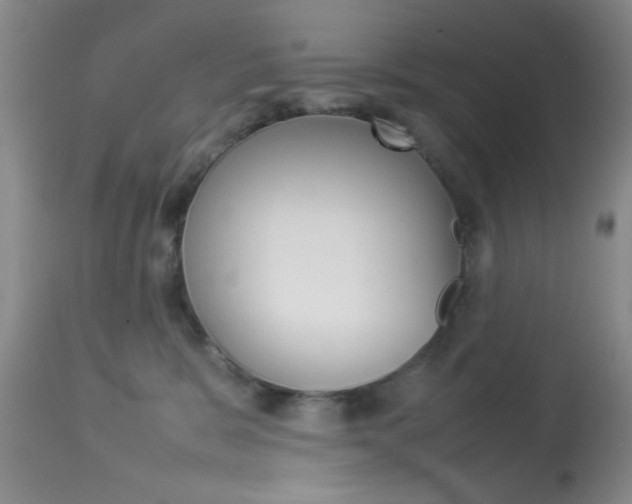 X0000113930327200909250922
