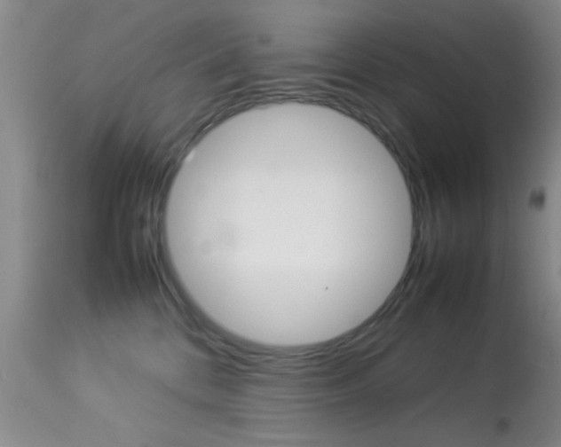 X0000113930328200909250922