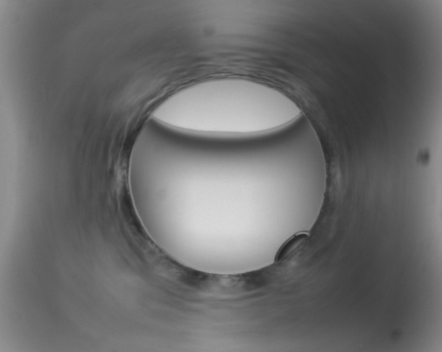 X0000113930329200909250922