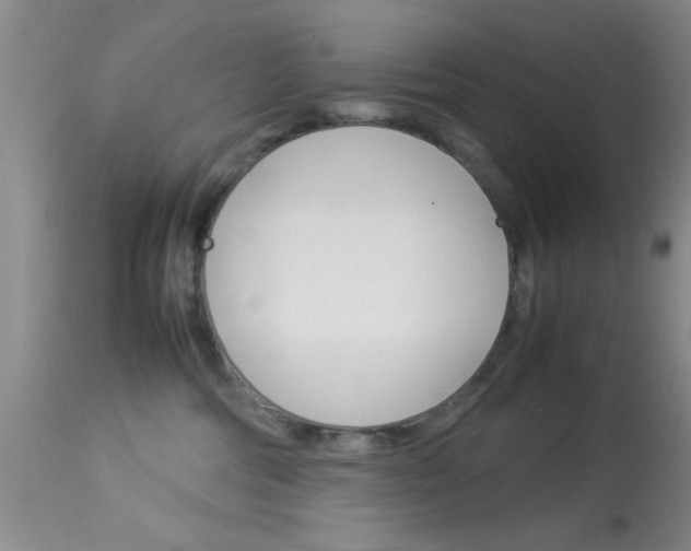 X0000113930330200909250922